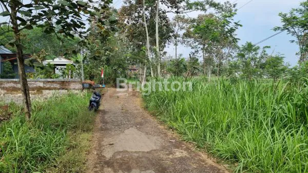 image TANAH DI TEMBORO MALANG (4)