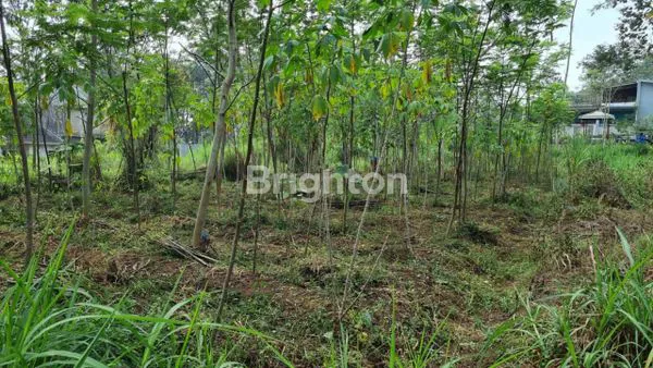 image TANAH DI TEMBORO MALANG (6)