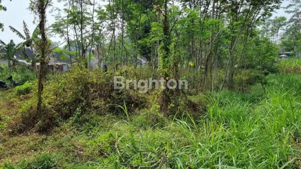 image TANAH DI TEMBORO MALANG (7)