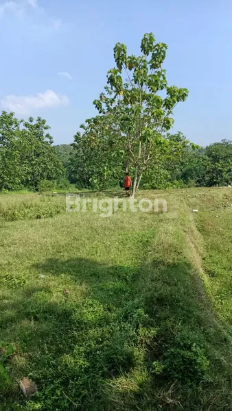 image TANAH DATAR DI JATEN, HANYA 1,5 KM DARI PINTU TOL (1)