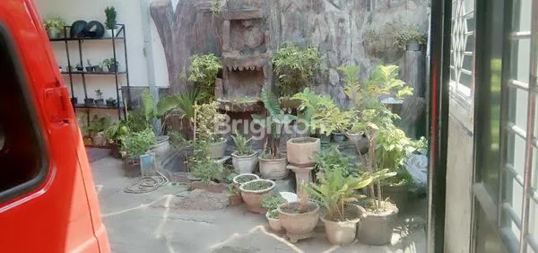 image DEKAT KAMPUS UNAIR, GALAXI MALL (3)