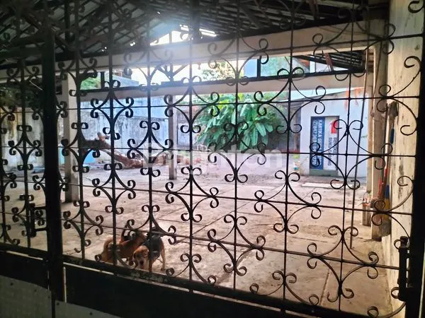 image RUKO JL. KEDUNGSARI AREA KOMERSIAL PUSAT KOTA  (3)