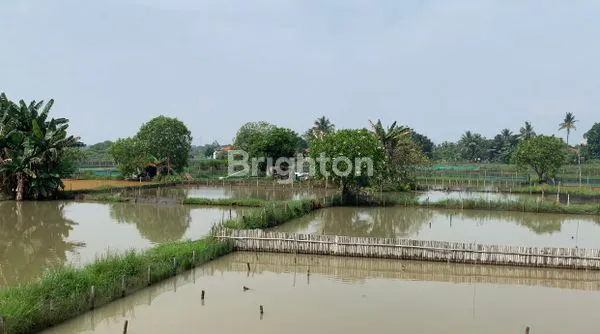 image LAHAN PERSAWAHAN DAN PERKEBUNAN (1)