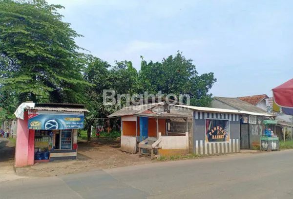 image LAHAN PERSAWAHAN DAN PERKEBUNAN (3)