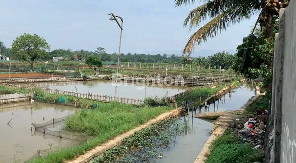 image LAHAN PERSAWAHAN DAN PERKEBUNAN (5)