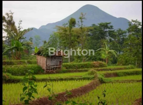 image TANAH DAN GUDANG (1)