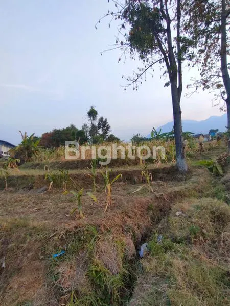 image TANAH DAN GUDANG (4)