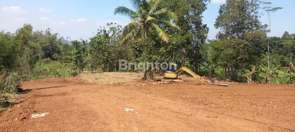 LAHAN STRATEGIS UNTUK USAHA PETERNAKAN AYAM