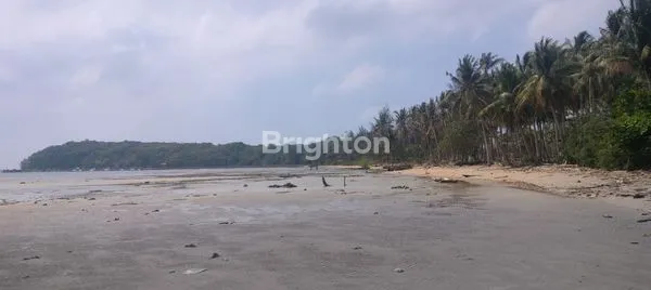 image PANTAI DAN DARATAN KARIMUNJAWA COCOK UTK WISATA AIR DAN RESORT (2)