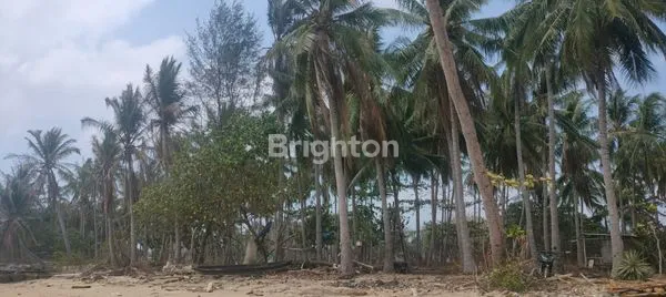 image PANTAI DAN DARATAN KARIMUNJAWA COCOK UTK WISATA AIR DAN RESORT (6)