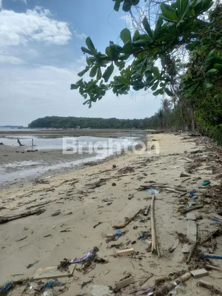 image PANTAI DAN DARATAN SEBELAH BANDARA KARIMUN JAWA (4)