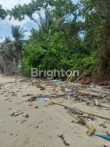 image PANTAI DAN DARATAN SEBELAH BANDARA KARIMUN JAWA (5)
