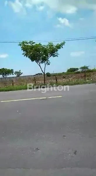 KAVLING TANAH YANG BISA DIBUAT PABRIK INDUSTRI DI TUBAN
