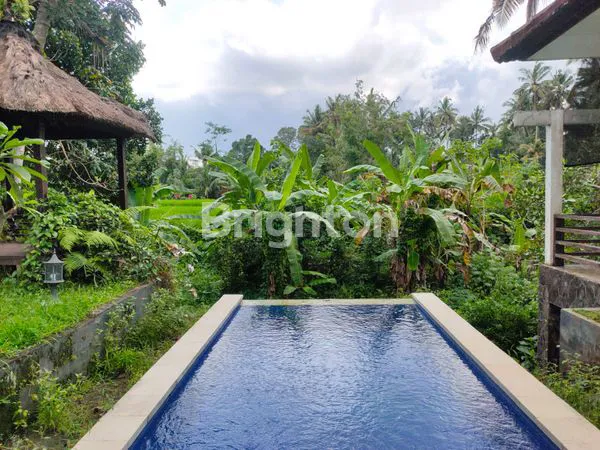 image BUNGALOW DI DESA UBUD KUTUH KAJA (7)