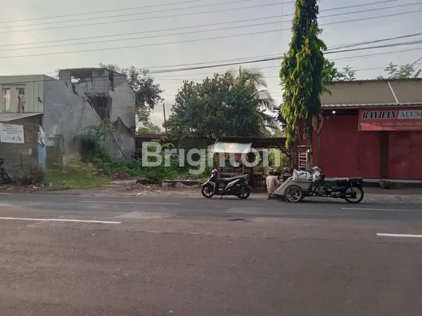 LAHAN PATRANG JEMBER