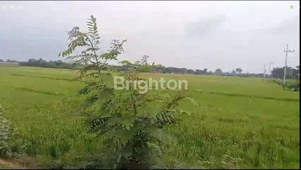 image TANAH STRATEGIS, NOL JALAN PROVINSI, NGANJUK (3)