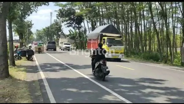 image TANAH STRATEGIS, NOL JALAN PROVINSI, NGANJUK (4)