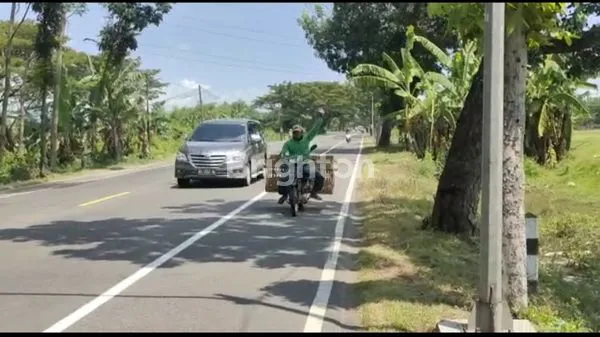 image TANAH STRATEGIS, NOL JALAN PROVINSI, NGANJUK (5)