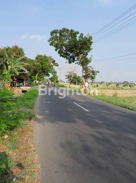 image SUKOHARJO, BAKI, TERDAPAT TANAH PERTANIAN, LUAS, HARGA MURAH, LOKASI STRATEGIS, PINGGIR JALAN, DAN RAMAI (2)