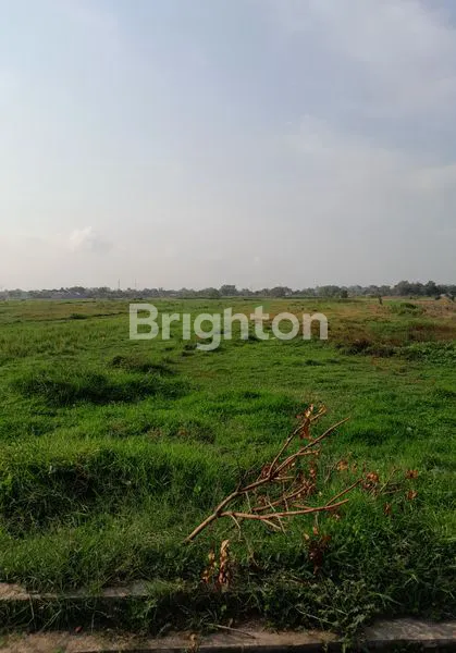 image SUKOHARJO, BAKI, TERDAPAT TANAH PERTANIAN, LUAS, HARGA MURAH, LOKASI STRATEGIS, PINGGIR JALAN, DAN RAMAI (1)