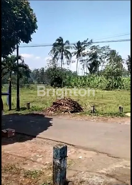 image TANAH LUAS DI DEPAN PASAR JABUNG MALANG (1)