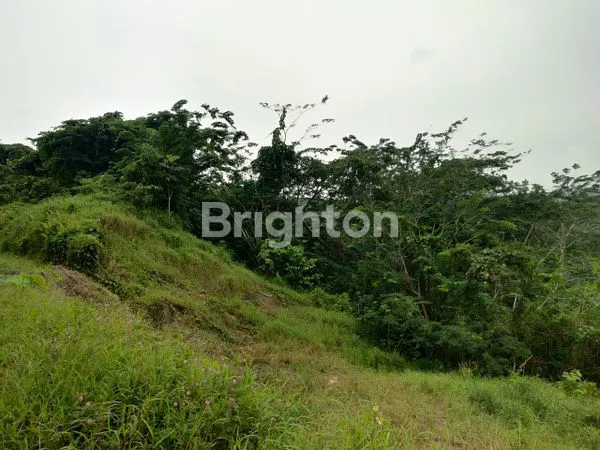 image LAHAN TANAH MURAH 2 HA UNTUK INVESTASI DAN USAHA DI SAMARINDA (3)