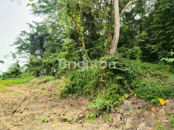 image LAHAN TANAH MURAH 2 HA UNTUK INVESTASI DAN USAHA DI SAMARINDA (4)