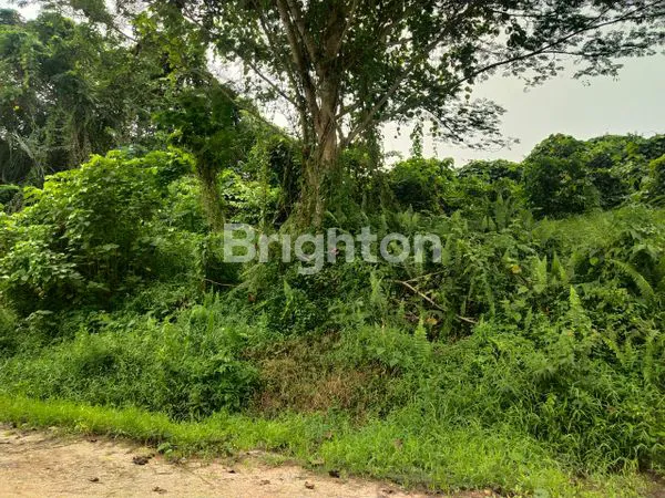 image LAHAN TANAH MURAH 2 HA UNTUK INVESTASI DAN USAHA DI SAMARINDA (7)