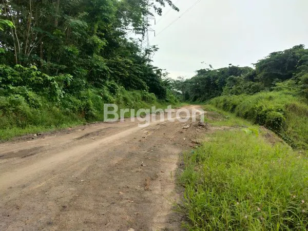 image LAHAN TANAH MURAH 2 HA UNTUK INVESTASI DAN USAHA DI SAMARINDA (6)