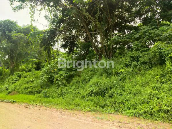 image LAHAN TANAH MURAH 2 HA UNTUK INVESTASI DAN USAHA DI SAMARINDA (5)