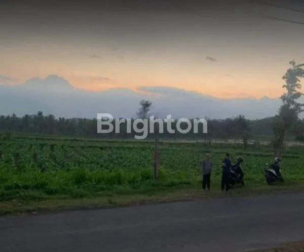 LAHAN KALISAT JEMBER