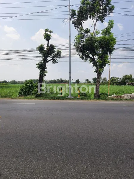 Gambar Property TANAH UNTUK INDUSTRI JOMBANG