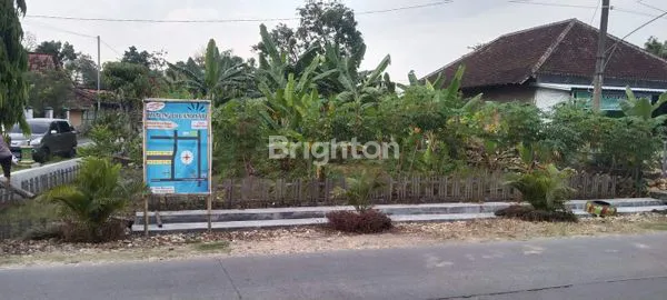 TANAH LUAS DI PURWODADI JATENG