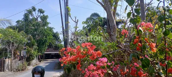 image LAHAN DEKAT KARMA KANDARA  (5)