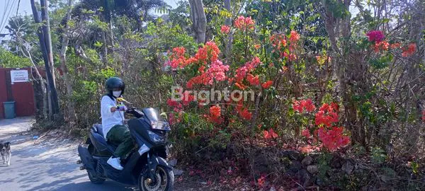image LAHAN DEKAT KARMA KANDARA  (4)