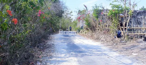 image LAHAN DEKAT KARMA KANDARA  (2)