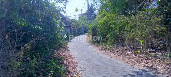 image LAHAN DEKAT KARMA KANDARA  (1)