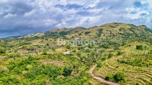 image PANJABAN OCEAN VIEWDIJUAL CEPAT PROYEK 10 PANJABAN OCEAN VIEW DENGAN VIEW LAUT DAN VIEW UBUD ! (4)