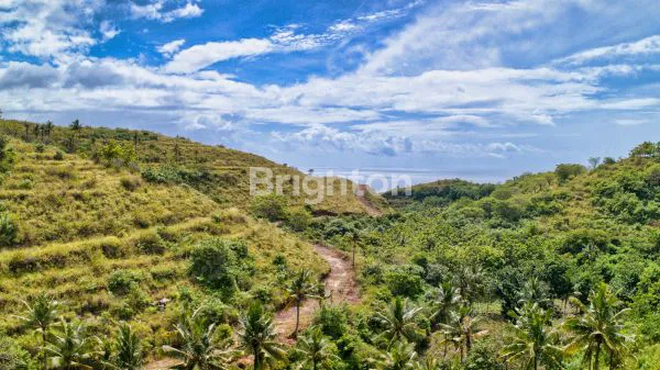 image PANJABAN OCEAN VIEWDIJUAL CEPAT PROYEK 10 PANJABAN OCEAN VIEW DENGAN VIEW LAUT DAN VIEW UBUD ! (6)