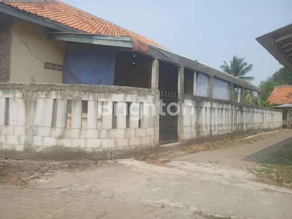 image RUMAH KAMPUNG LUAS MURAH DI RAJEG TANGERANG (3)