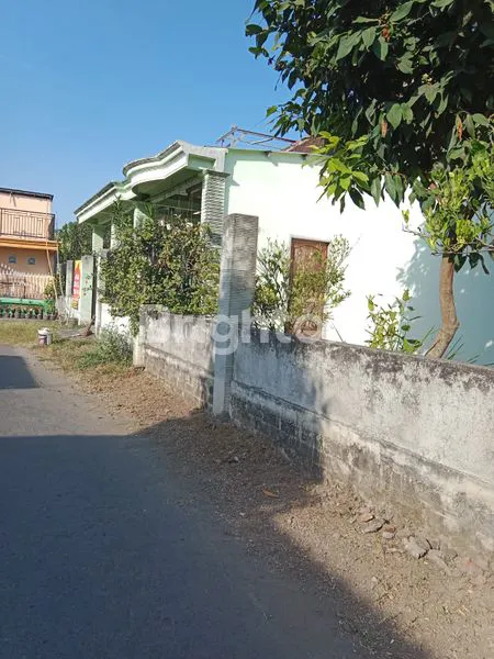 image RUMAH NYAMAN DI TULUNGAGUNG (1)