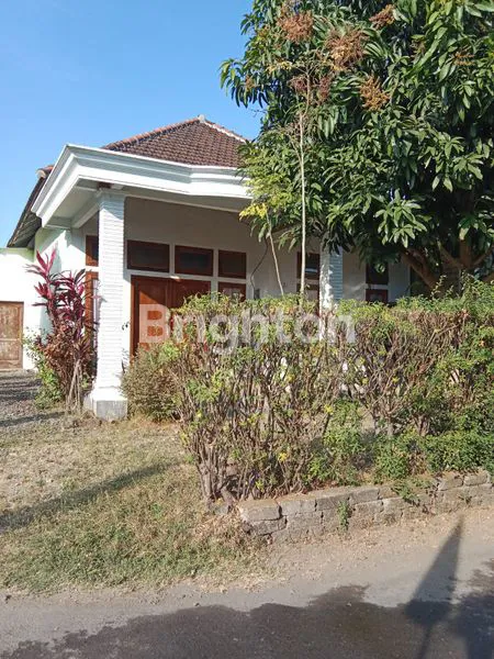 image RUMAH NYAMAN DI TULUNGAGUNG (3)