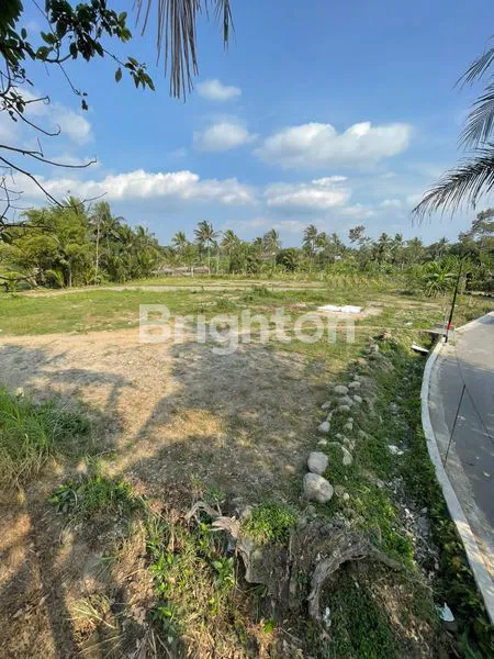 image TANAH KAVLING (1)