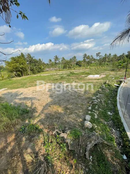 image TANAH KAVLING (7)