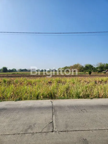 TANAH DI DAERAH GEDEG MOJOKERTO DEKAT TOL DAN KAWASAN INDUSTRI