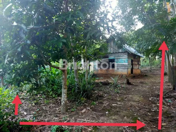 Gambar Property PALEMBANG, TANAH KEBON