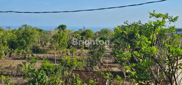 image LAHAN UNGASAN ATASNYA KARMA KANDARA  (2)