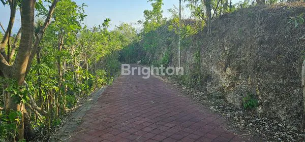 image LAHAN UNGASAN ATASNYA KARMA KANDARA  (5)