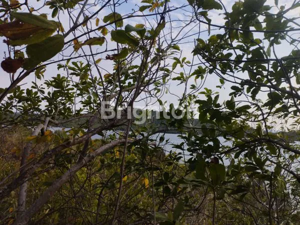 image TANAH BUKIT DEKET PANTAI ALANO KARIMUNJAWA (6)