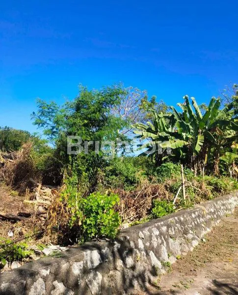 image LAHAN SILIGITA NUSA DUA  (2)